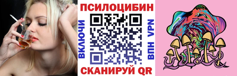 купить наркотики сайты  Вольск  Псилоцибиновые грибы Magic Shrooms 