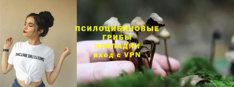 наркотики  Вольск  Псилоцибиновые грибы Magic Shrooms 