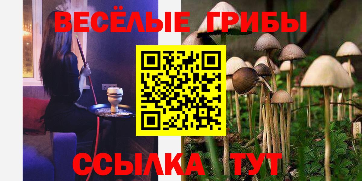 Псилоцибиновые грибы Psilocybine cubensis Вольск