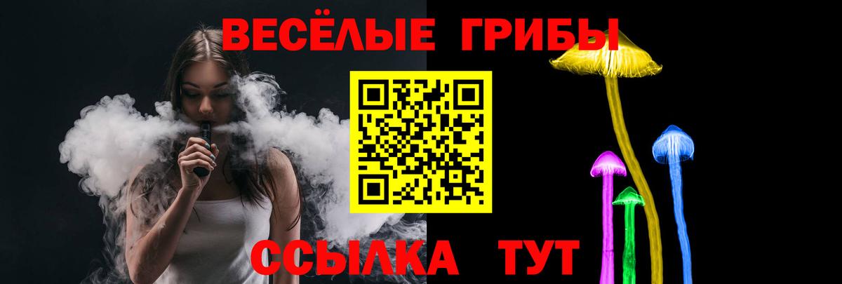 Вольск  Галлюциногенные грибы прущие грибы  Вход с VPN 
