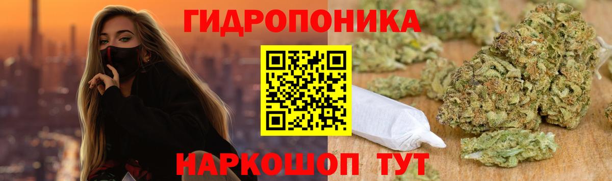 Конопля индика  Вольск  Шишки марихуана план 